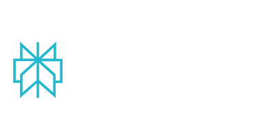 Logo perplexity